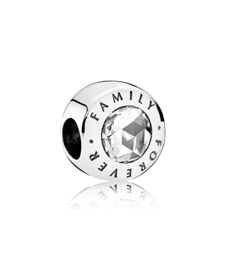 Charm Family Forever 791884CZ