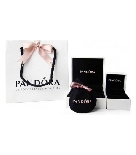 Pendientes en plata de ley Logo Pandora 290559CZ