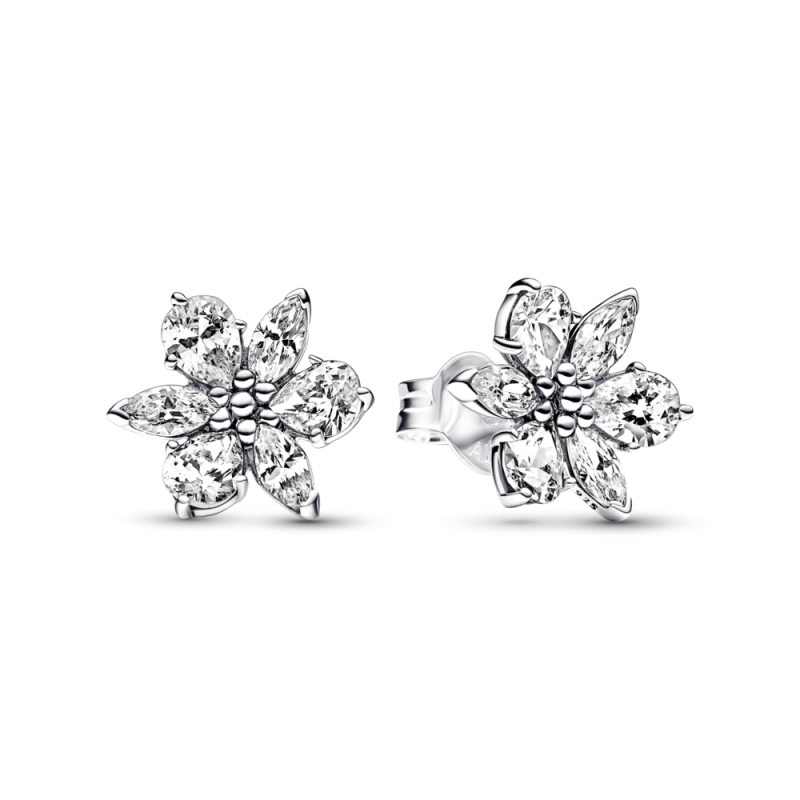 Pendientes Pandora Herbario Brillante 292633C01