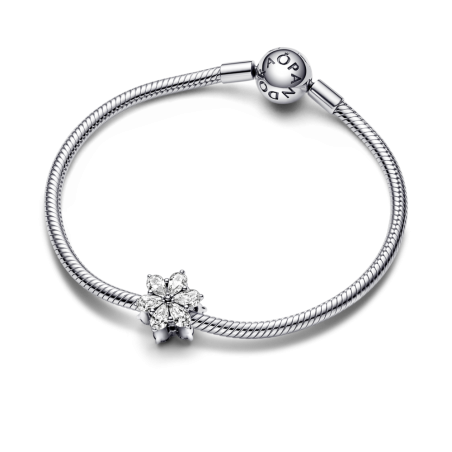 Charm Pandora en plata de ley Herbario Brillante 792623C01