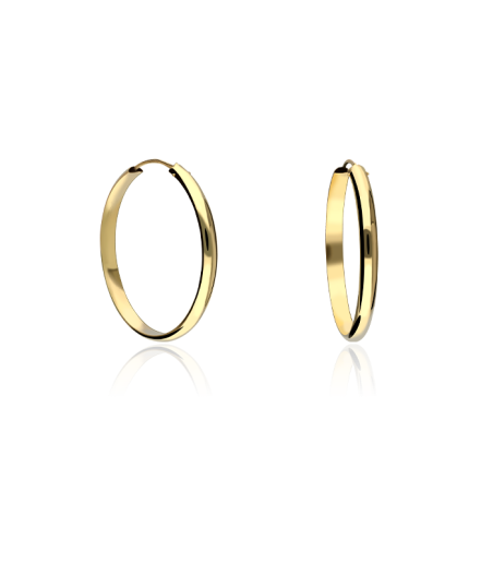 Pendientes "Ring" Aro Oro 18k.