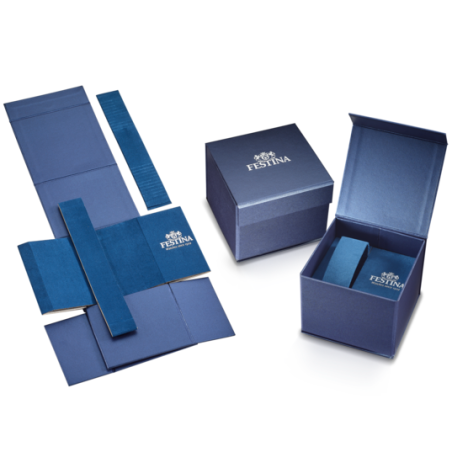 Reloj Festina hombre acero esfera azul F16820/A