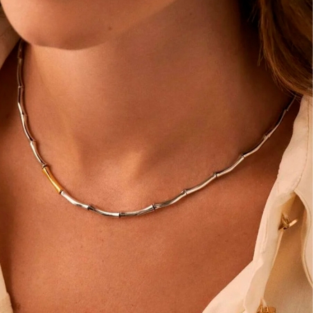 Collar Agatha Paris Corto Bamboo Baño Plata y Oro 2681006-879-TU