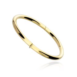 Pulsera Rígida Oro 18k...