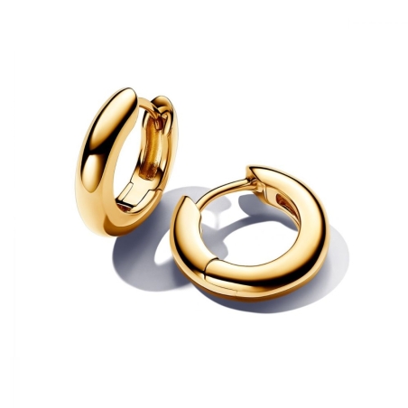 Pendientes Pandora Aros Redondos 263320C00