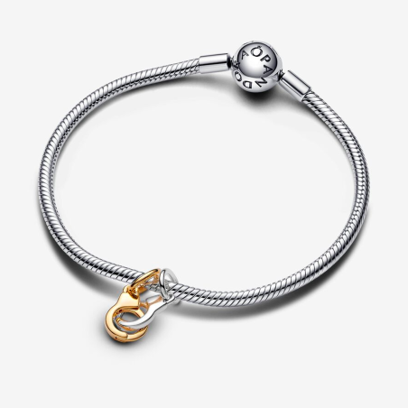 Charm Pandora Divisible Esposas 763435C00