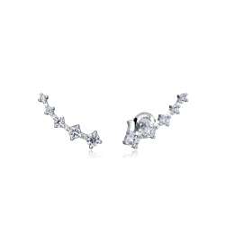 Pendientes Viceroy elegant plata circonitas 13005E000-30