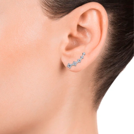 Pendientes Viceroy elegant plata circonitas 13005E000-30