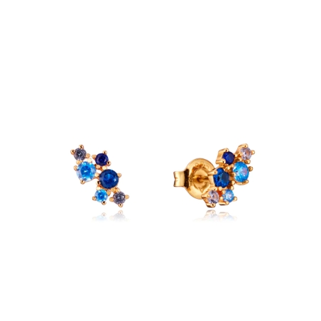 Pendientes Viceroy elegant plata circonitas azules baño oro 13134E100-33