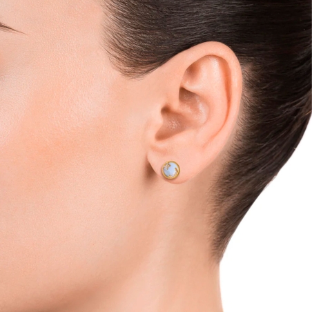Pendientes Viceroy Elegant de plata de ley con baño de oro y madre perla 13080E100-90