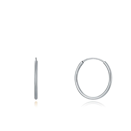 PENDIENTES VICEROY PLATA DE LEY ARO 20 x 12 mm 13111E000-00