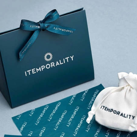 Pulsera Itemporality Plata baño y circonitas SBR-201-018-UU