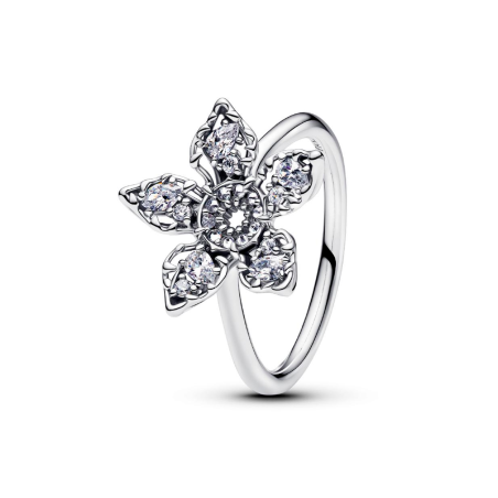 Anillo Pandora Stranger Things 193578C01
