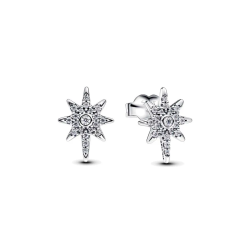 Pendientes Pandora Estrella Polar 293587C01