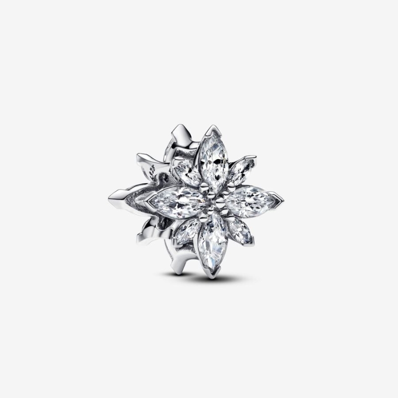 Charm Pandora Estrella Polar Brillante 798475C01