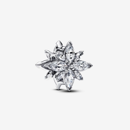 Charm Pandora Estrella Polar Brillante 798475C01