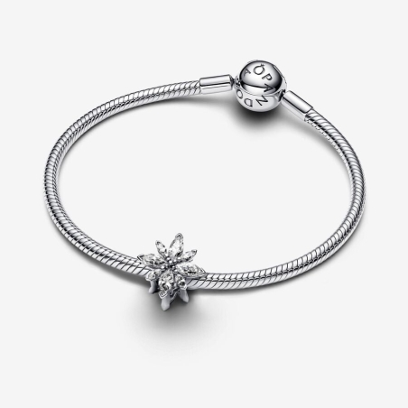 Charm Pandora Estrella Polar Brillante 798475C01