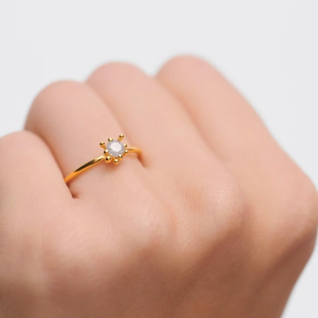 Anillo PdPaola Grey Fleur AN01-C93-14