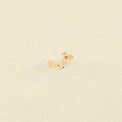 Piercing Agatha Paris TrioStar 2390055-157-TU