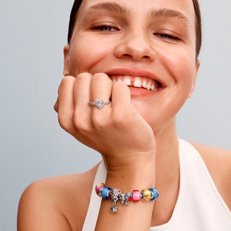 Charm Pandora Carl y Ellie Up Disney 793649C01