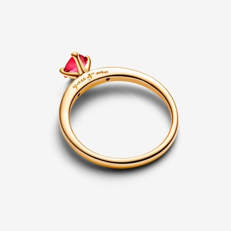 Anillo Pandora Shine Explosión de Amor 166574C01