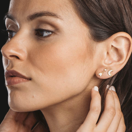 Pendientes Itemporality Plata y circonitas SEA-201-213-UU