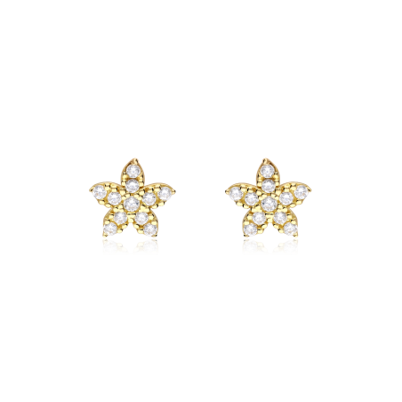 Pendientes Oro 18k y circonitas "Etoile"