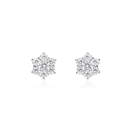 Pendientes Oro blanco y circonitas "Cane"