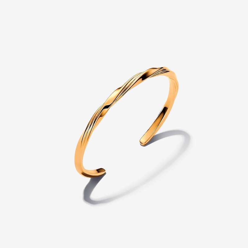 Pulsera Rígida Pandora Shine 563869C00