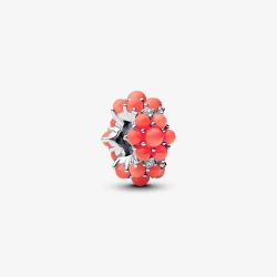 Charm Pandora Coral 793897C01