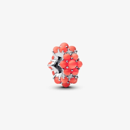 Charm Pandora Coral 793897C01