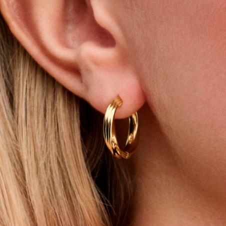 Pendientes Pandora Shine Aros entrelazados 263878C00