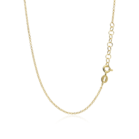 Gargantilla Plata Baño Oro 18k "Hachiren"