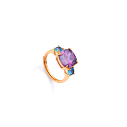 Anillo Viceroy Elegant Plata Baño Oro 13100A01