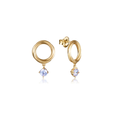 Pendientes Viceroy plata círculos 13213E100-30