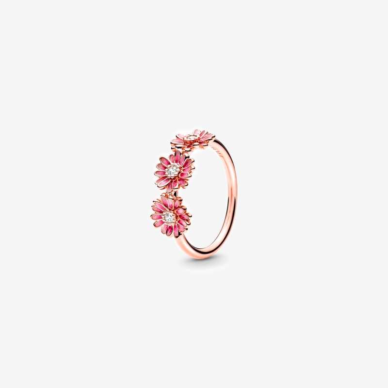 Anillo Pandora Rose Margaritas Rosas 188792C01