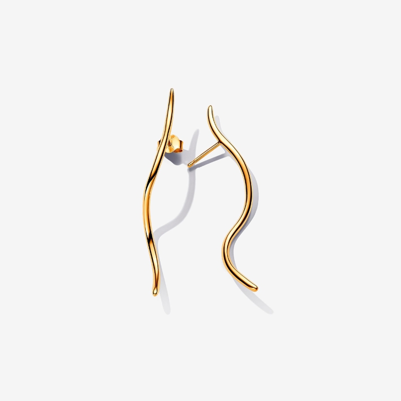 Pendientes Pandora Alambre 263287C00