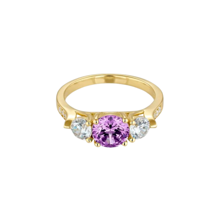 Anillo Itemporality Baño Oro Circonita Amatista SRN-204-117-14