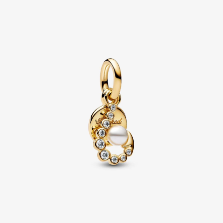 Charm Pandora Doble Gancho 763891C01