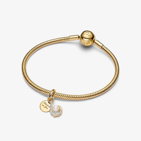 Charm Pandora Doble Gancho 763891C01