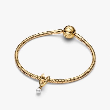 Charm Pandora Corazón y Perla 764138C01