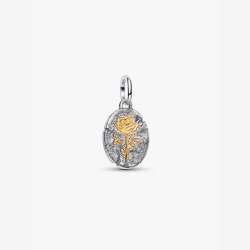 Charm Pandora Medallón rosa 764087C00