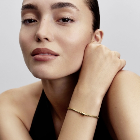 Charm Pandora Mini Puzzle 764514c00