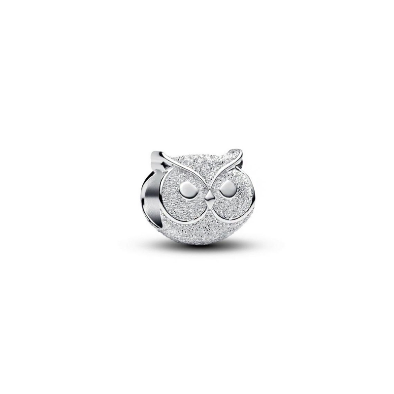 Charm Pandora Mini Búho Brillante 794525C00