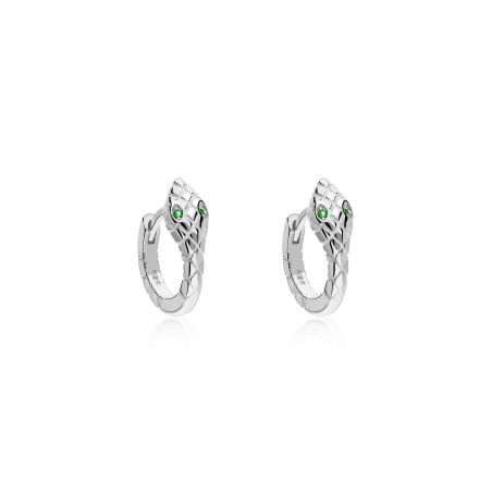 Aros Plata primera ley y circonitas "Slytherin"