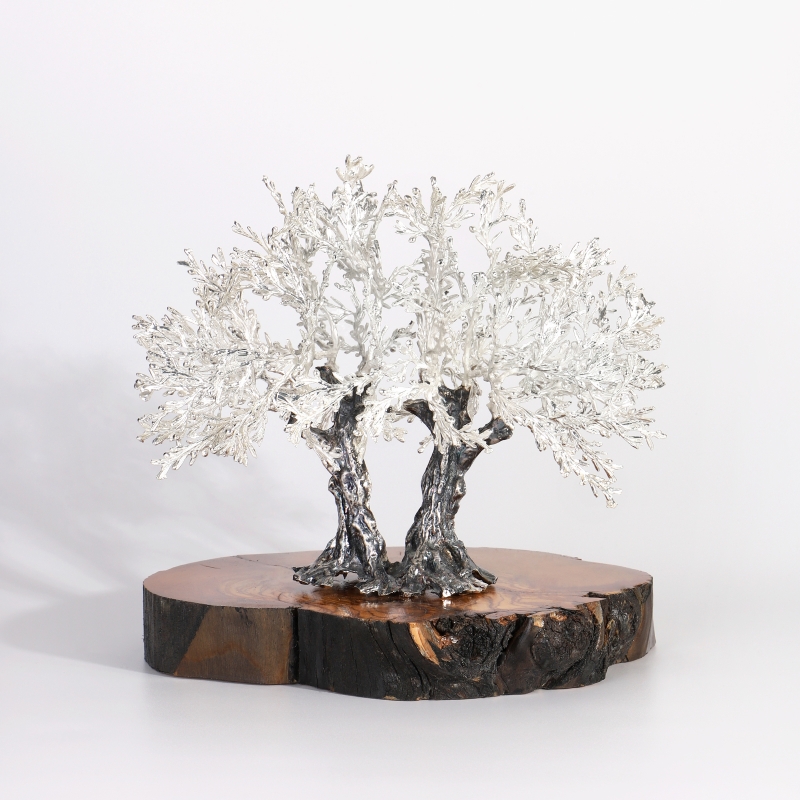 Árbol centenario 21x26cm "Olivo"