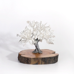 Árbol centenario 17x18cm "Olivo"