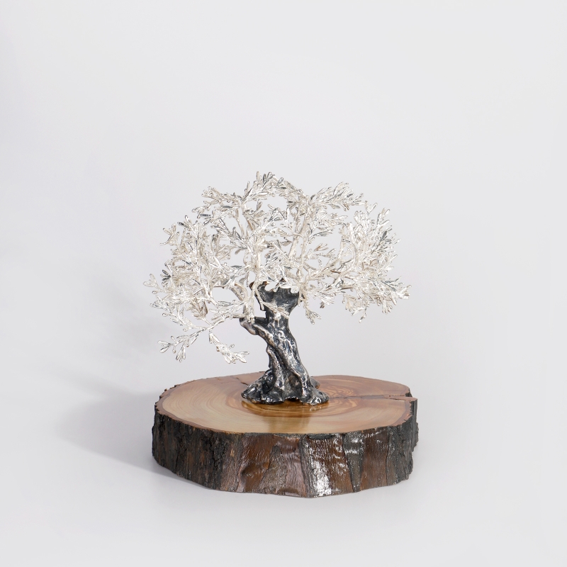 Árbol centenario 15x16cm "Olivo"