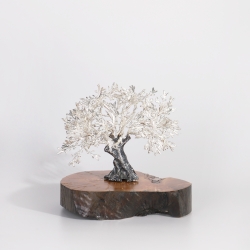 Árbol centenario 14x15cm "Olivo"