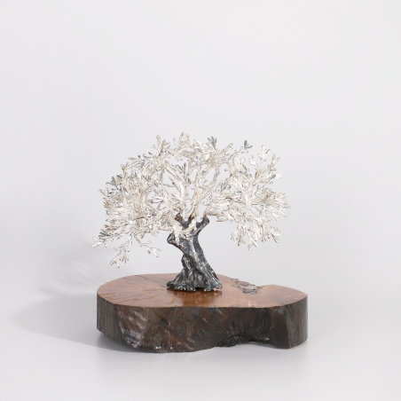 Árbol centenario 14x15cm "Olivo"